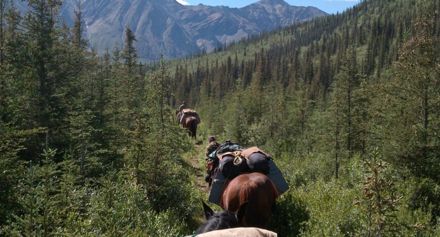 Toad River Trail Rides - Peak Wyld Co.