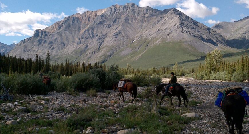 Toad River Trail Rides - Peak Wyld Co.
