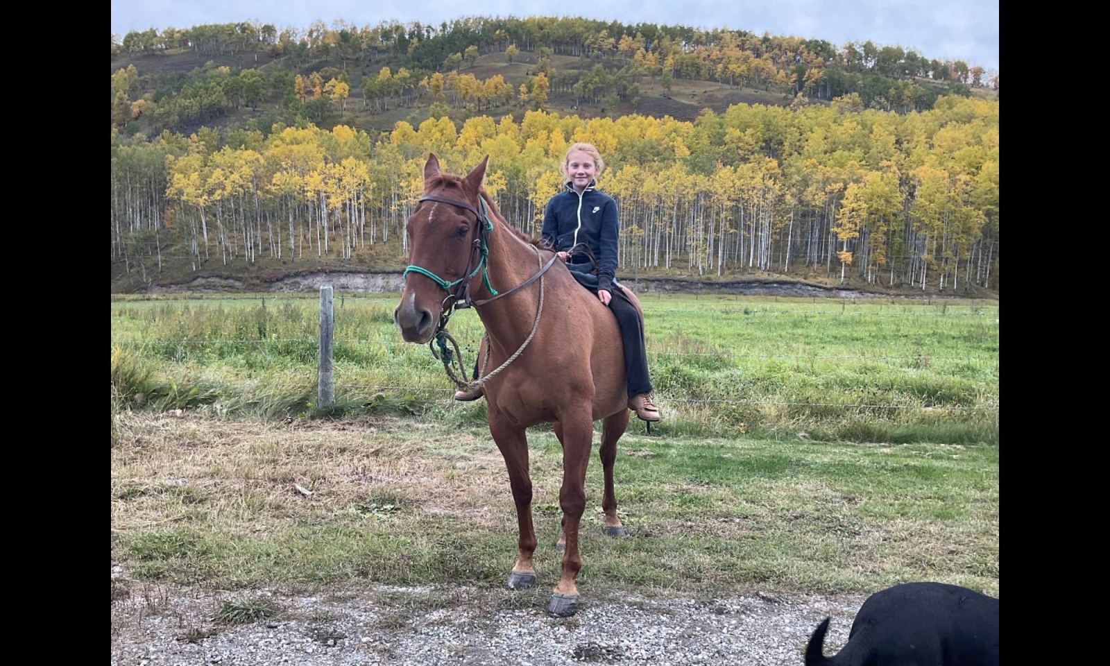 Toad River Trail Rides - Peak Wyld Co.