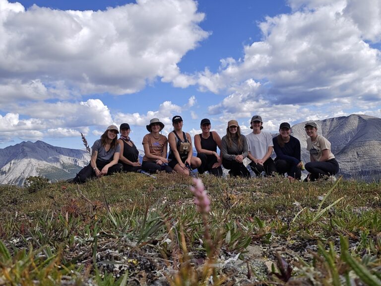 Heart-of-the-McDonald-2025-1-1