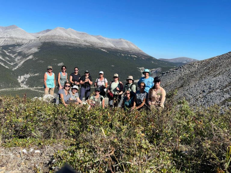 Heart-of-the-mcdonald-2023