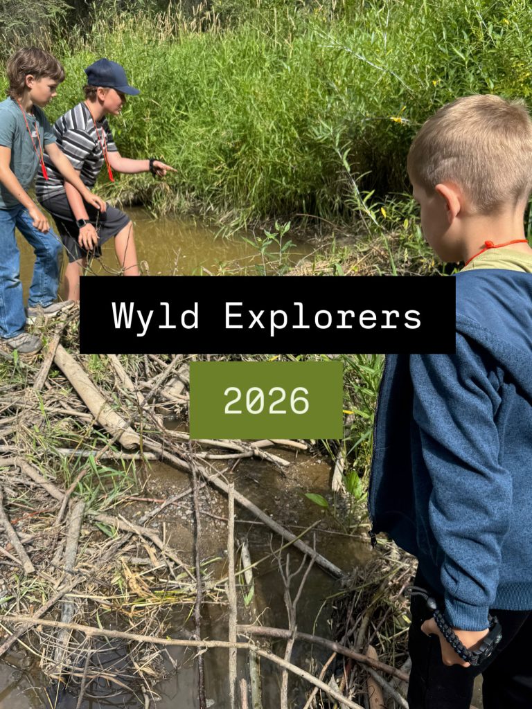 Wyld Explorers
