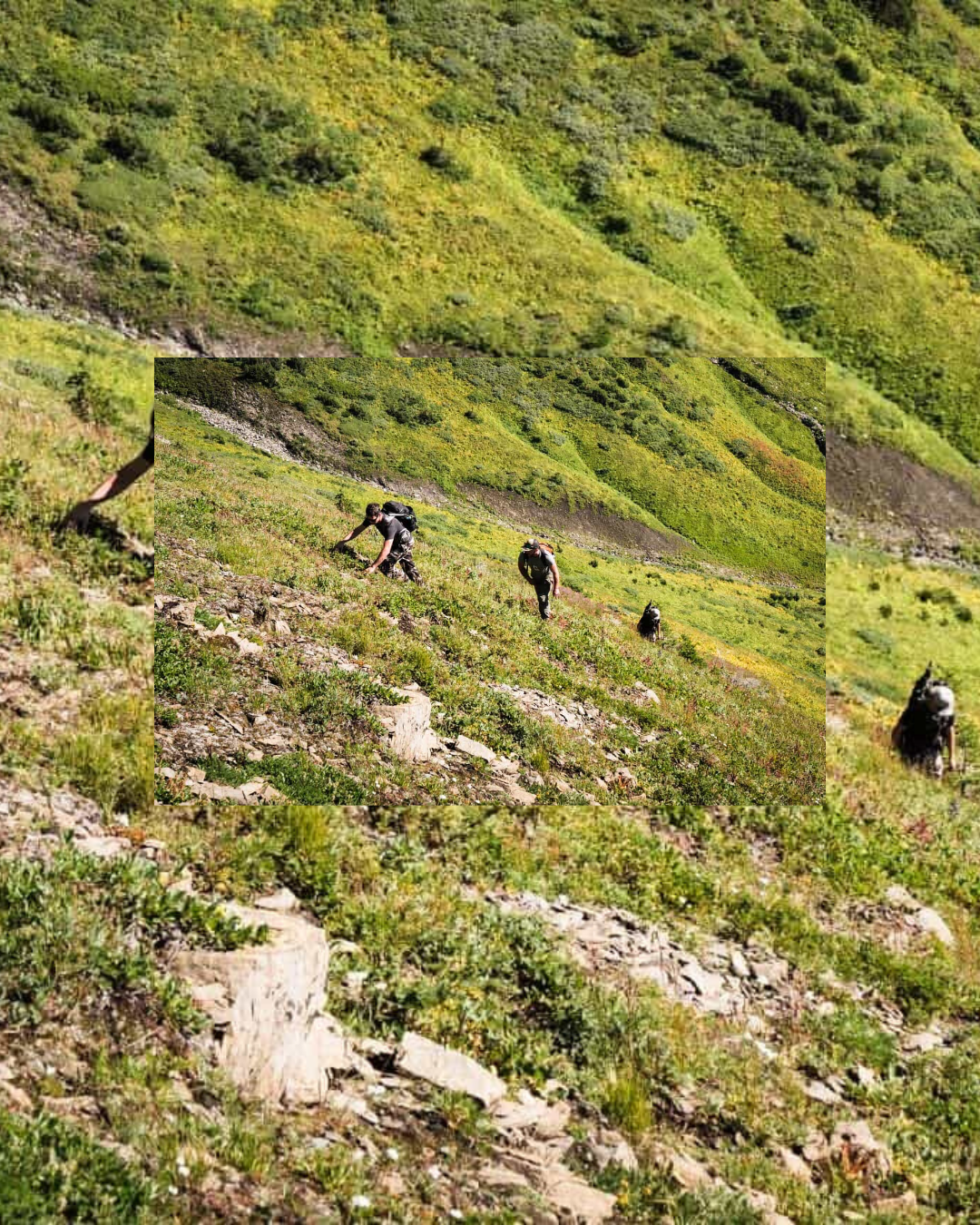 Hikers scrambling alpine slope — Court Jacobs